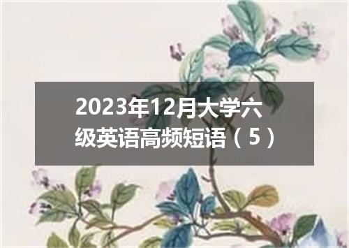 2023年12月大学六级英语高频短语(5)