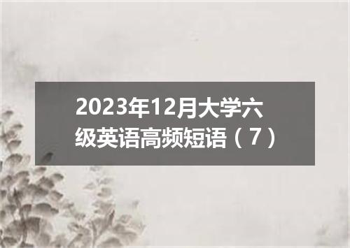2023年12月大学六级英语高频短语(7)