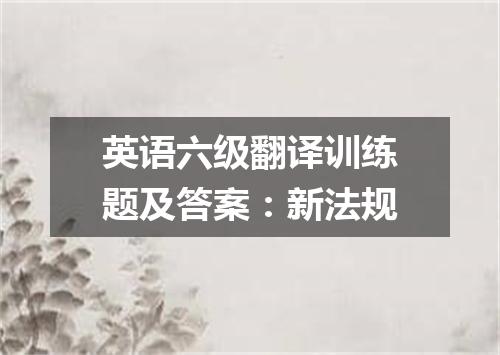 英语六级翻译训练题及答案:新法规