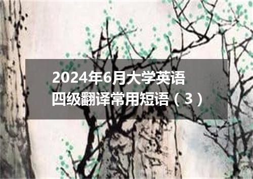 2024年6月大学英语四级翻译常用短语(3)