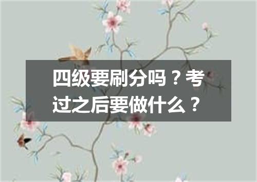 四级要刷分吗?考过之后要做什么?