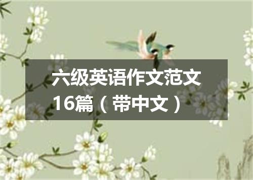 六级英语作文范文16篇（带中文）