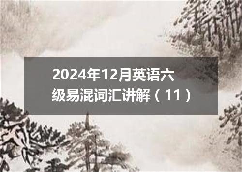 2024年12月英语六级易混词汇讲解(11)