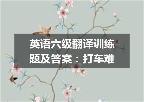 英语六级翻译训练题及答案:打车难