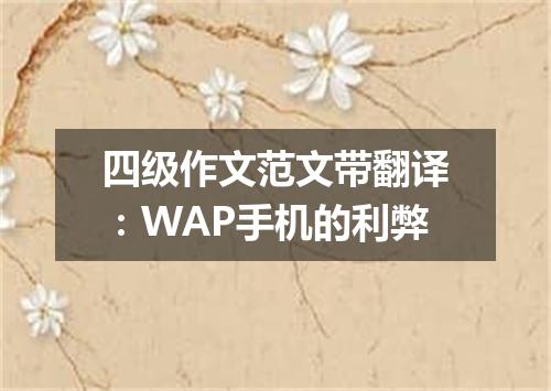 四级作文范文带翻译:WAP手机的利弊