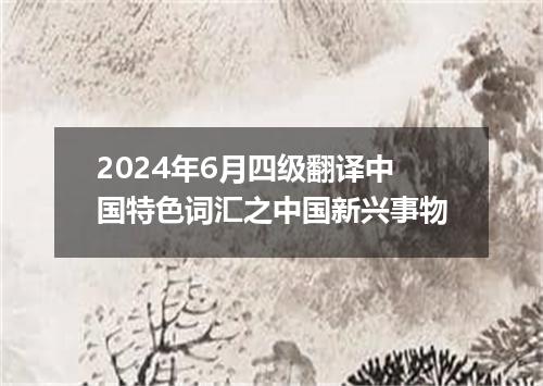2024年6月四级翻译中国特色词汇之中国新兴事物