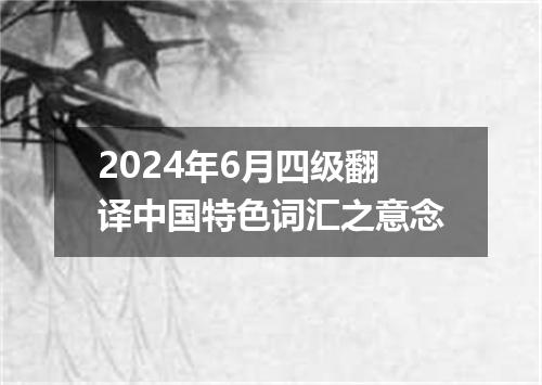2024年6月四级翻译中国特色词汇之意念