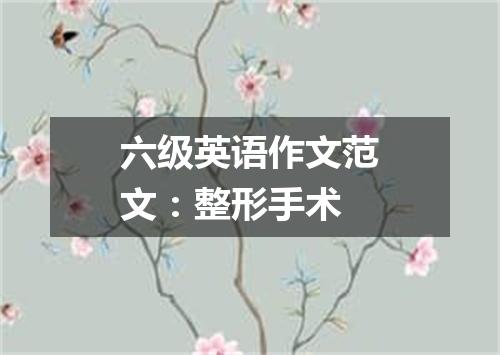 六级英语作文范文:整形手术
