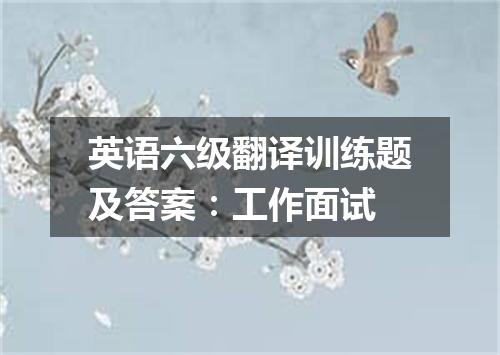 英语六级翻译训练题及答案:工作面试