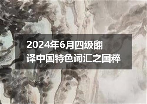 2024年6月四级翻译中国特色词汇之国粹