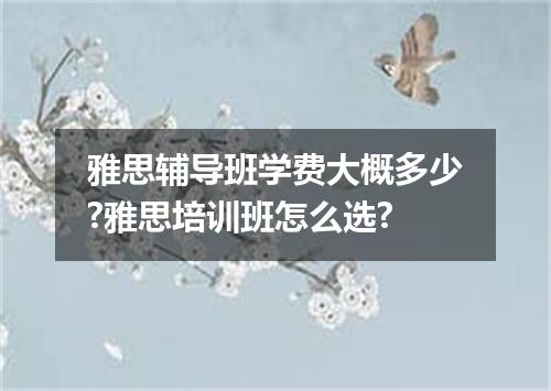 雅思辅导班学费大概多少?雅思培训班怎么选?