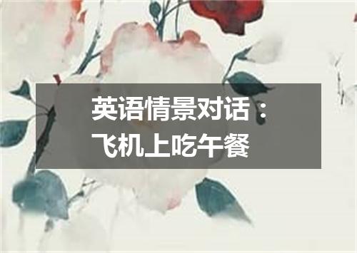 英语情景对话:飞机上吃午餐