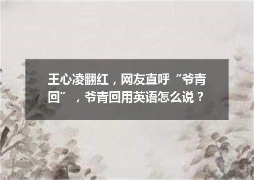 王心凌翻红,网友直呼“爷青回”,爷青回用英语怎么说?