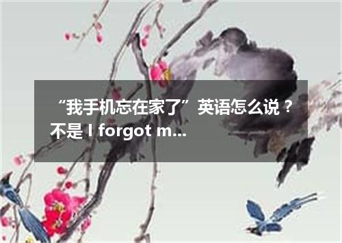 “我手机忘在家了”英语怎么说?不是 I forgot my phone at home!