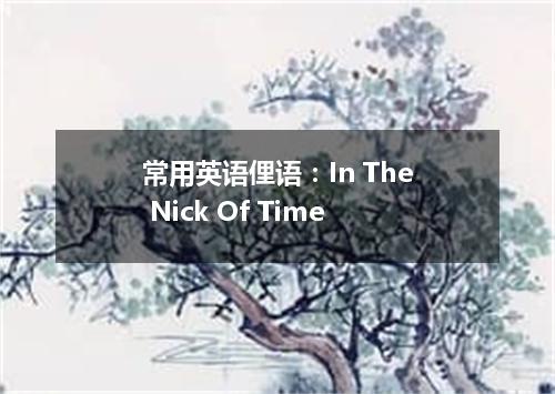 常用英语俚语:In The Nick Of Time