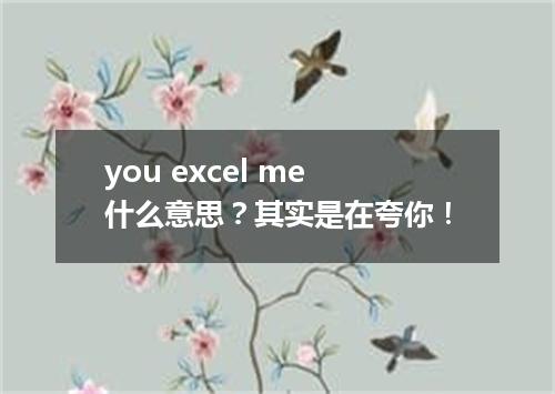 you excel me什么意思?其实是在夸你!