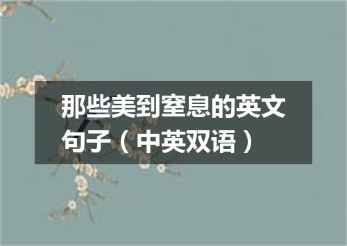 那些美到窒息的英文句子(中英双语)