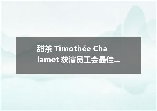 甜茶 Timothée Chalamet 获演员工会最佳男主角奖!