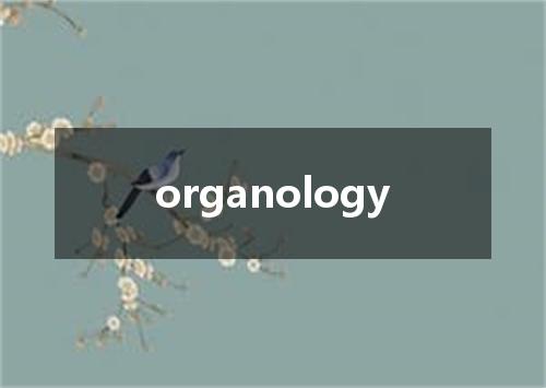 organology是什么意思