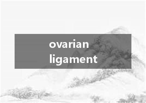 ovarian ligament是什么意思