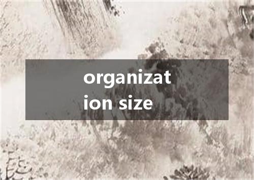 organization size是什么意思