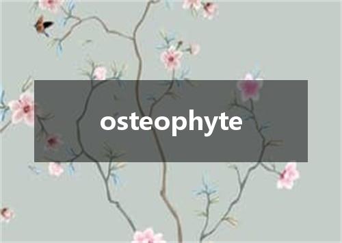 osteophyte是什么意思