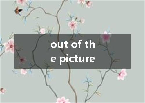 out of the picture是什么意思
