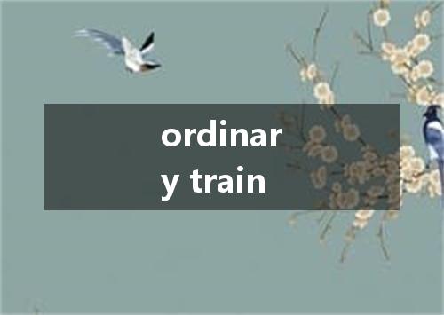 ordinary train是什么意思