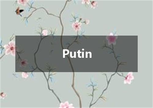 Putin是什么意思