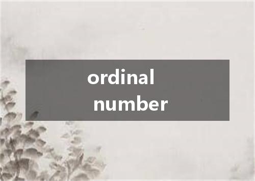 ordinal number是什么意思
