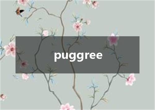 puggree是什么意思
