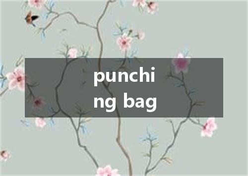 punching bag是什么意思