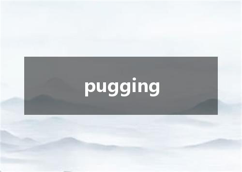 pugging是什么意思