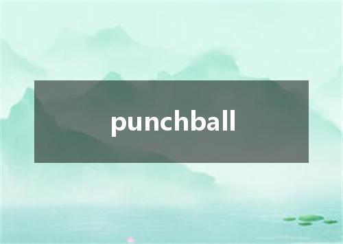 punchball是什么意思