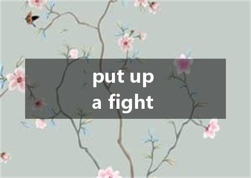 put up a fight是什么意思