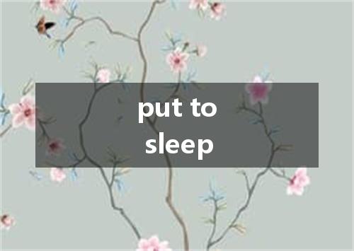 put to sleep是什么意思