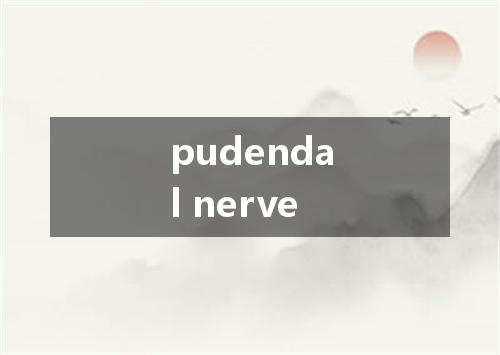 pudendal nerve是什么意思
