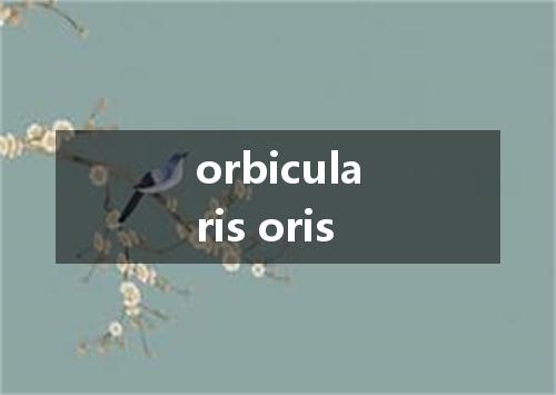 orbicularis oris是什么意思