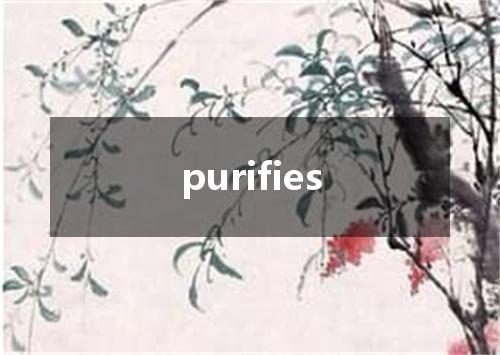 purifies是什么意思