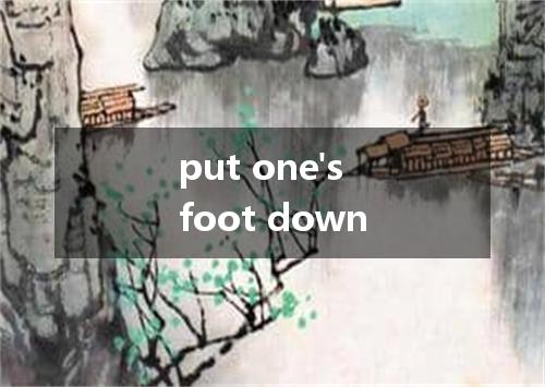 put one's foot down是什么意思