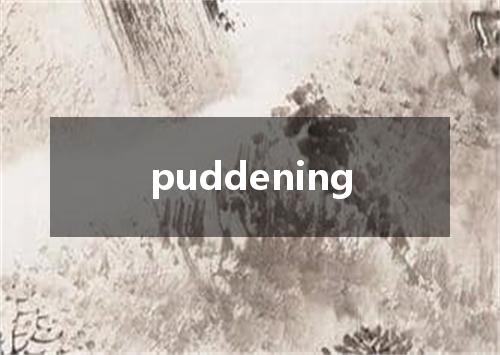 puddening是什么意思
