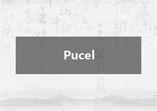 Pucel是什么意思