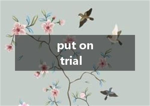 put on trial是什么意思