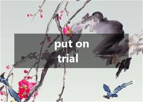 put on trial是什么意思