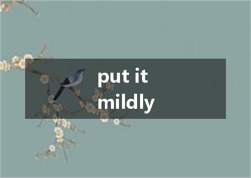 put it mildly是什么意思