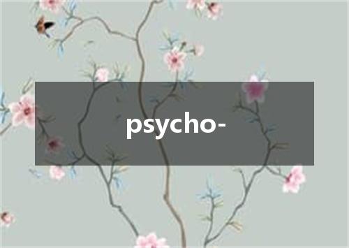 psycho-是什么意思