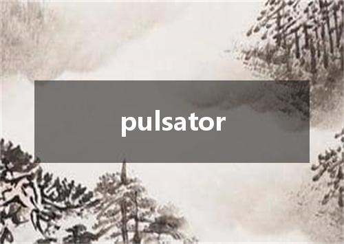 pulsator是什么意思