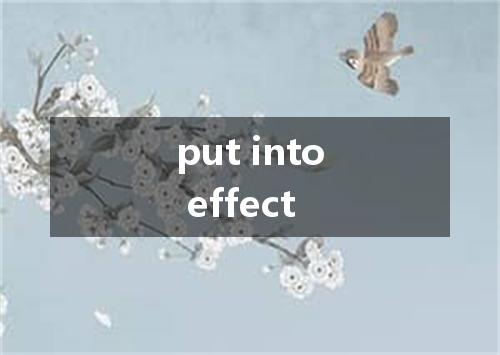 put into effect是什么意思