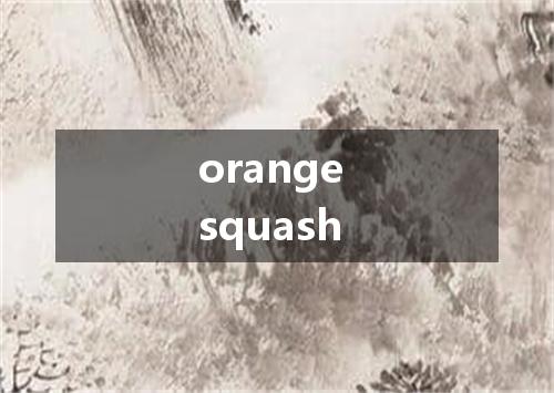 orange squash是什么意思
