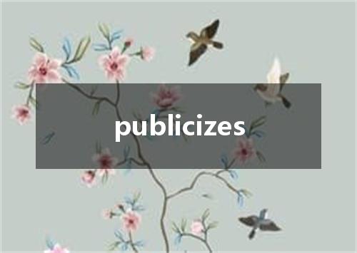 publicizes是什么意思